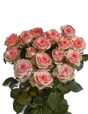 Rose rosa a steli, prima scelta, con complementi